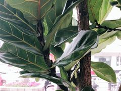 -泉乐坊步行街(烟酒特产平价超市店)