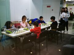 -常青藤国际象棋(新奥店)