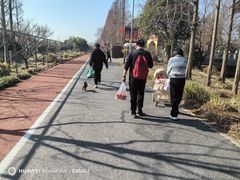 -上海长兴岛郊野公园