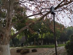 -堤角公园