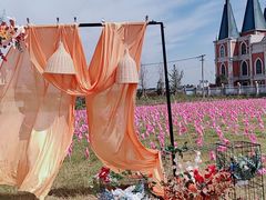 -鹅湖玫瑰文化园