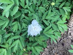 -西安阳光国际大酒店·中餐厅