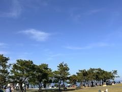 -郑庄脂渣海鲜楼(九水路店)