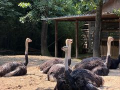 -杭州野生动物世界