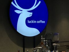 -瑞幸咖啡(广东外经贸大厦店)