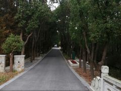 -同里国家湿地公园
