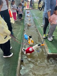 -上美四季动物农场