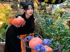 -三秋舍·梦幻岛(小西路店)