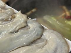 -濠轩阁特色生蚝火锅(水湾路店)