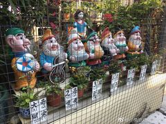 -大澳渔村及棚屋