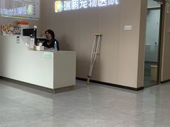 -瑞鹏宠物医院·猫科·宠保定点(梅溪湖分院)