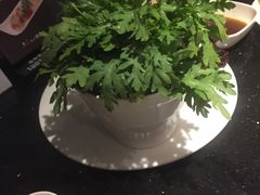 -捞王猪肚鸡火锅(财富中心店)