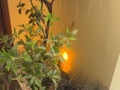 -静耳元気采耳·按摩·SPA(万象前海店)