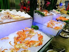 -圣丰索菲特·2 On 988 Café 自助餐厅
