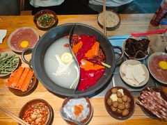 -阳阳老火锅(小南门店)