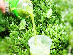 -桂桂茶(大宁国际广场店)