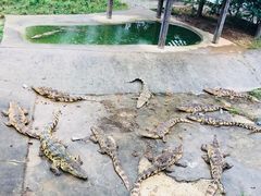-无锡动物园·太湖欢乐园