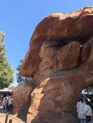 -翱翔飞越地平线