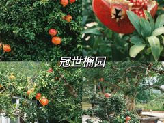 -台儿庄古城