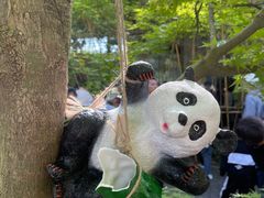 -苏州太湖国家湿地公园