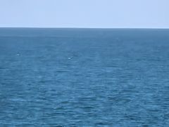 -日落吧·海景咖啡厅·餐酒吧·鸡尾酒·下午茶·乐队表演·浪漫夕阳·三亚文华东方酒店