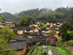 -杨家堂村
