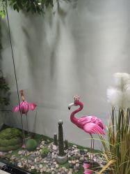 -小熊维尼高端儿童摄影(宝安旗舰店)