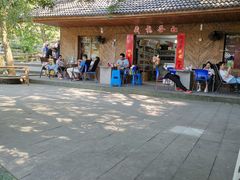 -藏龙百瀑风景区