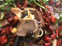 -易老妈蹄花.特色川菜(人民公园总店)