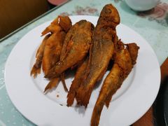 -华春餐馆(鱼山路店)