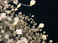 -泰白海鲜烧烤大全