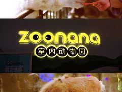 -zoonana室内动物园(东方福来德店)
