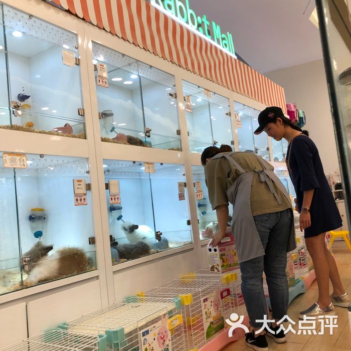 兔子百货图片-北京宠物店-大众点评网