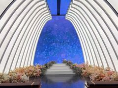 -曼格纳·曼芯馆(杨浦店)