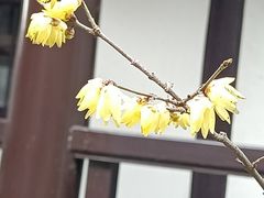 -狼山风景名胜区