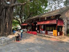 -荔湾湖公园