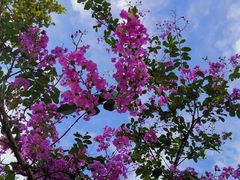 -艾溪湖湿地公园