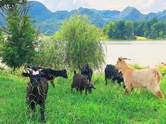 -云漫湖生态度假公园