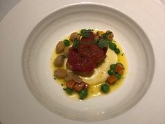 -蝶舍·MAISON PAPILLON