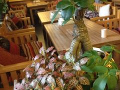 iphone_upload_pic-旅马餐厅(茅家埠店)