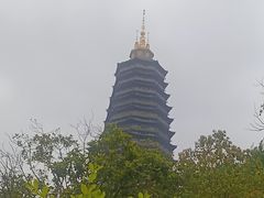 -听松楼·花园酒店·自助餐厅(红梅公园店)