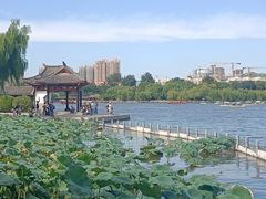 -济南大明湖景区