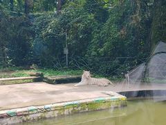 -贵州森林野生动物园