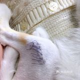 小宝贝要快点恢复健康啊