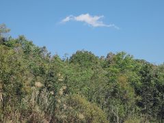 -普洱太阳河森林公园