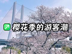 -上海南浦大桥长途旅游客运站