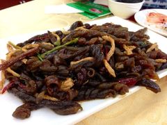 肉丝海龙筋-海岛渔村大酒店(云霄路店)