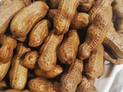 -马记烧烤(曲沃路店)