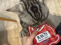 -小时光咖啡馆(北锣鼓巷店)