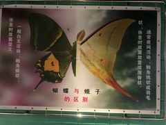 -上海昆虫博物馆